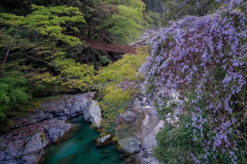 四国旅行のhub拠点 古民家ゲストハウス Heso Camp Мийоши Екстериор снимка